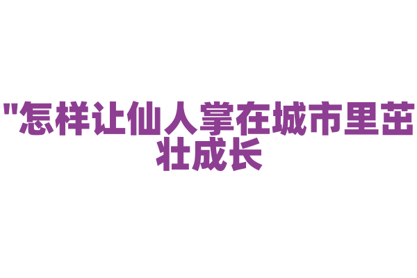 "怎样让仙人掌在城市里茁壮成长？"